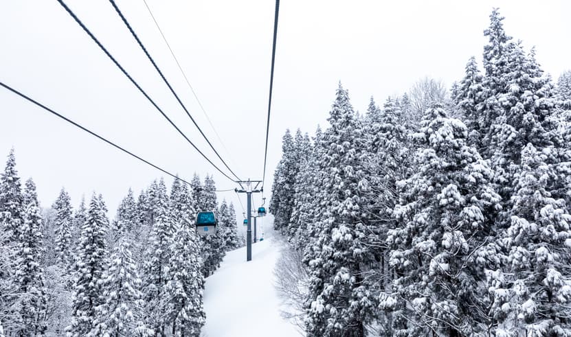 ทัวร์ญี่ปุ่น เซนได 6 วัน 4 คืน PJPSDJ02-XJ ลานสกีอานิ ล่องเรือเกบิเคะ อ่าวมัตสึชิมะ หมู่บ้านจิ้งจอก บิน XJ (DMK)  