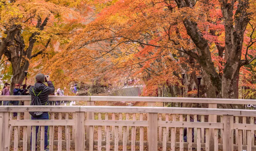 ทัวร์ญี่ปุ่น โตเกียว 6 วัน 3 คืน WEJP-JTAP2025 วัดนาริตะชินโชจิ อุโมงค์ต้นไม้ โอชิโนะฮักไก FREEDAY บิน XJ (DMK)