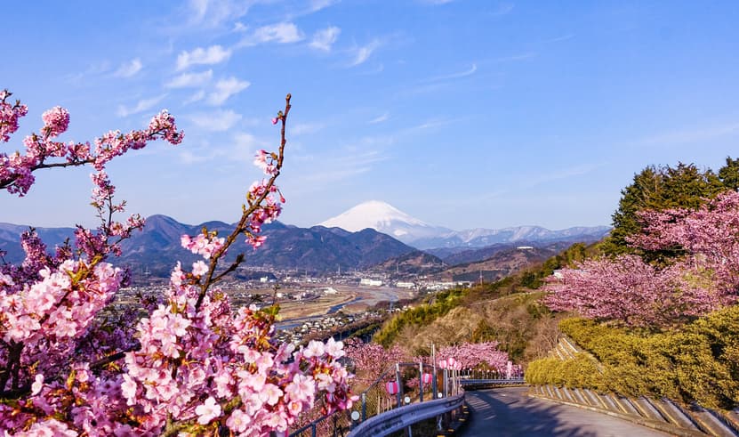 ทัวร์ญีุ่่น โตเกียว 6 วัน 4 คืน JXJ243 หุบเขาโอวาคุดานิ ทะเลสาบยามานากาโกะ ย่านชินจูกุ วัดอาซากุสะ บิน XJ (DMK)