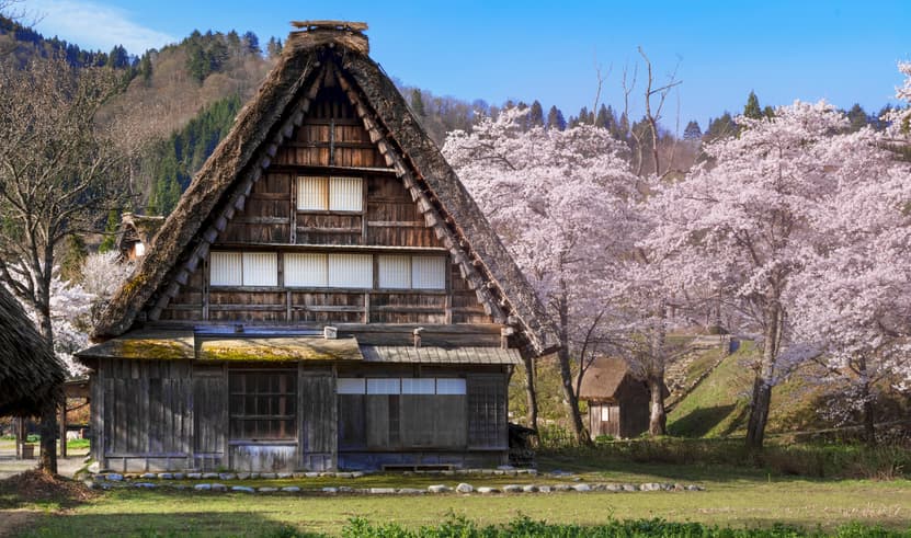 ทัวร์ญี่ปุ่น โตเกียว ทาคายาม่า โอซาก้า 7 วัน 5 คืน GO2HND-TG043 วัดโคโตคุอิน ทะเลสาบคาวากุจิโกะ โอชิโนะฮักไก ชิราคาวาโกะ บิน TG (BKK)