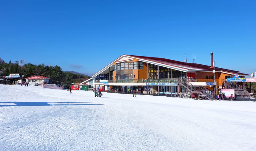 ทัวร์ญี่ปุ่น โตเกียว 5 วัน 3 คืน ZGNRT-2604VZ ฮาโกเน่ หุบเขาโอวาคุดานิ วัดอาซากุสะ ชินจูกุ บิน VZ (BKK)