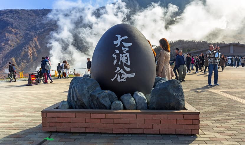 ทัวร์ญี่ปุ่น โตเกียว 5 วัน 3 คืน ZGNRT-2605VZ วัดอาซากุสะ ถนนนาคามิเซ หุบเขาโอวาคุดานิ ชินจูกุ บิน VZ (BKK)                                                                