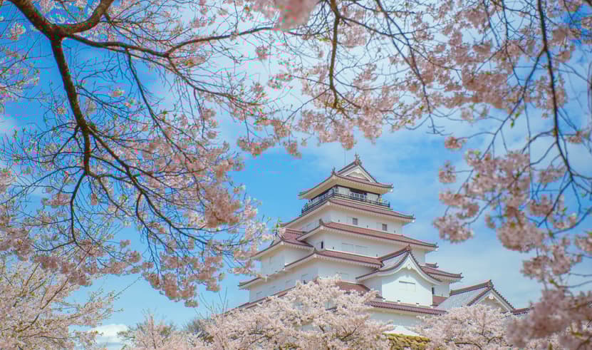 ทัวร์ญี่ปุ่น โตเกียว นิกโก้ เซนได 7 วัน 4 ZGNRT-2601SQ พระใหญ่อุชิคุ ปราสาทสึรุกะ ศาลเจ้าโทโชกุ ตรอกขนมหวานคาชิยะ บิน SQ (BKK)