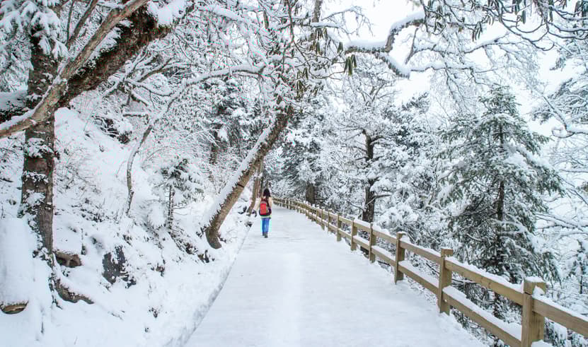 ทัวร์จีน เฉิงตู 5 วัน 4 คืน ZGTFU-2608VZ หุบเขาชวงเฉียวโกว ตูเจียงเอี้ยน อุทยานภูเขาหิมะวาวูซาน หุบเขาสี่ดรุณี บิน VZ (BKK)