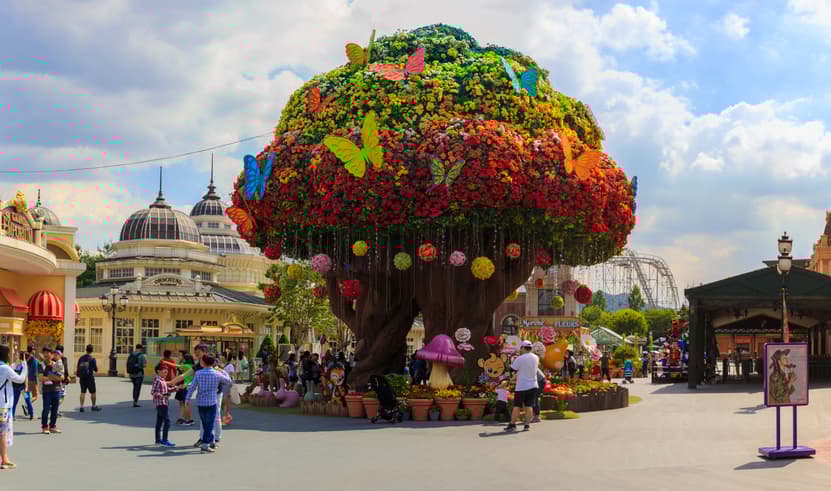 ทัวร์เกาหลี โซล 5 วัน 4 คืน WDICN003 เกาะนามิ สวนสนุกเอเวอร์แลนด์ ย่านยอนนัมดง ย่านฮงแด บิน BX (BKK)