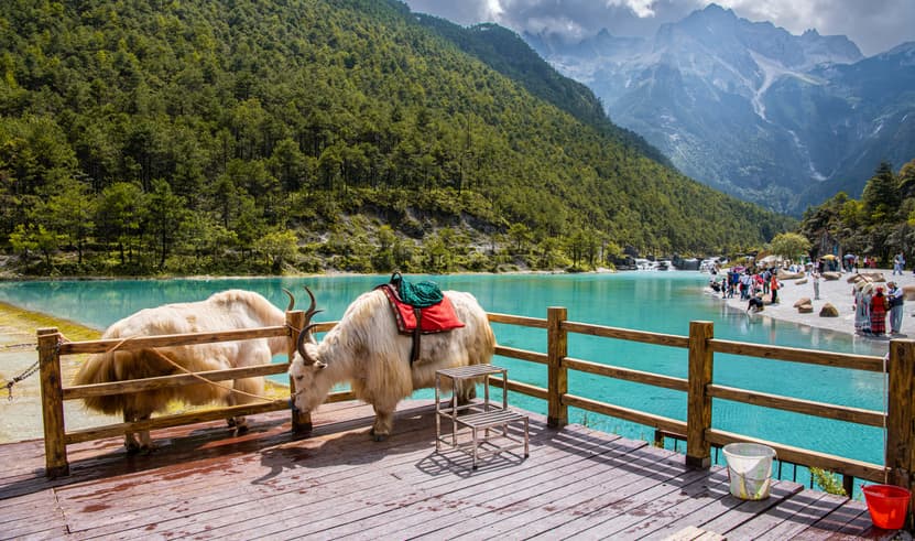 ทัวร์จีน ลี่เจียง 6 วัน 5 คืน 2ULJG-DR004 ชมดอกไม้ตามฤดูกาล วัดเจ้าแม่กวนอิม ช่องแคบเสือกระโจน สระมังกรดำ บิน DR (BKK)