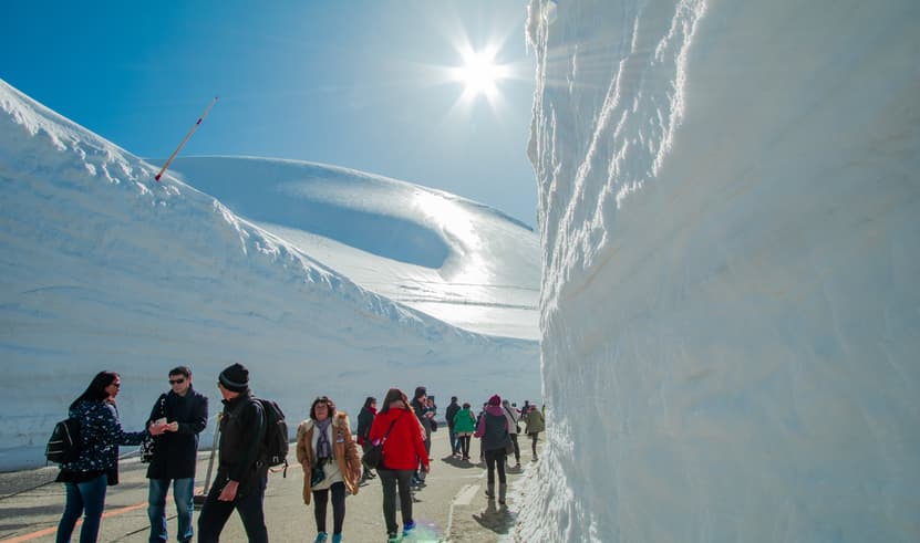 ทัวร์ญี่ปุ่น โตเกียว ทาคายาม่า 6 วัน 4 คืน กำแพงหิมะ Japan Alps คามิโคจิ ทุ่งดอกเนโฟีล่า บิน TG (BKK)