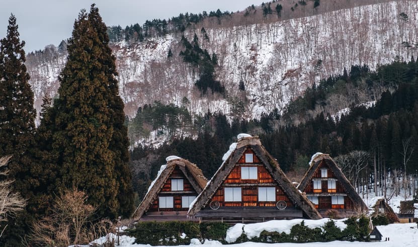 ทัวร์ญีปุ่่น นาโกย่า ทาคายาม่า โอซาก้า 6 วัน 4 คืน GO2NGO-TG081 หมู่บ้านชิราคาวาโกะ ศาลเจ้าชิราฮิเงะ ศาลเจ้าฟูชิมิอินาริ ตลาดปลาคุโรมง บิน TG (BKK)  