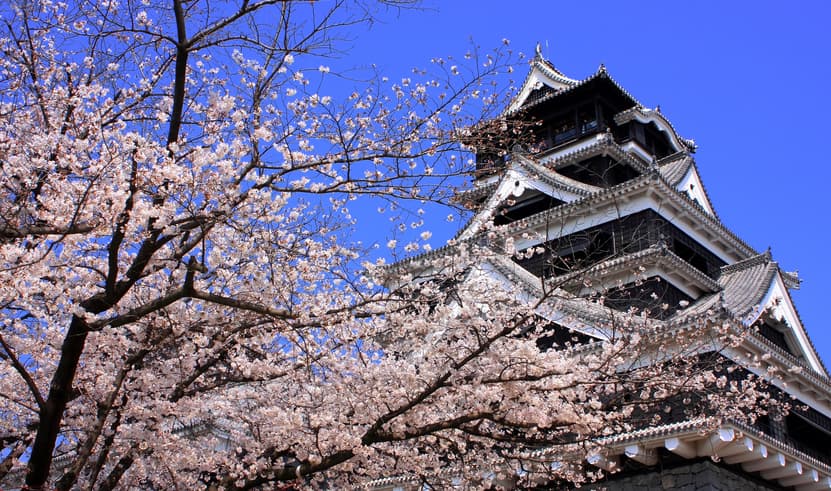 ทัวร์ญี่ปุ่น ฟุกุโอกะ 7 วัน 5 คืน GO2FUK-TG030 สวนมิฟุเนะยาม ชมซากุระรอบปราสาทคุมาโมโตะ วัดจินโคคุจิ  หมู่บ้านยูฟุอิน ฟลอร์รัล บิน TG (BKK)