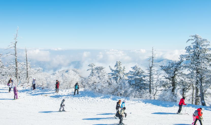 ทัวร์เกาหลี โซล 5 วัน 3 คืน KBX62 สวนสนุก Everland Suwon Starfield Library ย่านฮงแด ย่านเมียงดง บิน BX (BKK)