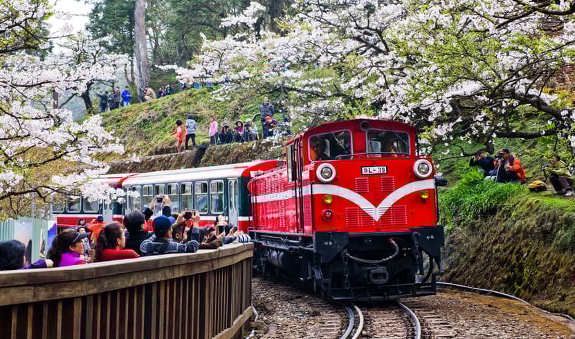 ทัวร์ไต้หวัน ไต้หวัน ไทเป 5 วัน 4 คืน 2URMQ-SL201 รถไฟโบราณอาลีซาน ล่องเรือทะเลสาบสุริยันจันทรา วัดพระถังซัมจั๋ง บิน SL (DMK)