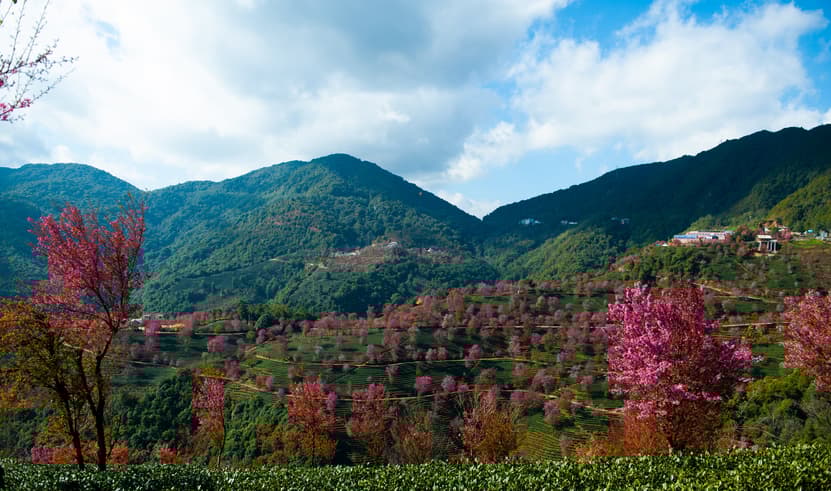 ทัวร์จีน คุนหมิงด 5 วัน 4 คืน SHMUKMG33 น้ำตกเก้ามังกร สวนเหล่าหยูเหอ เมืองโบราณกวนตู้ ภูเขาซีซาน บิน MU (BKK)