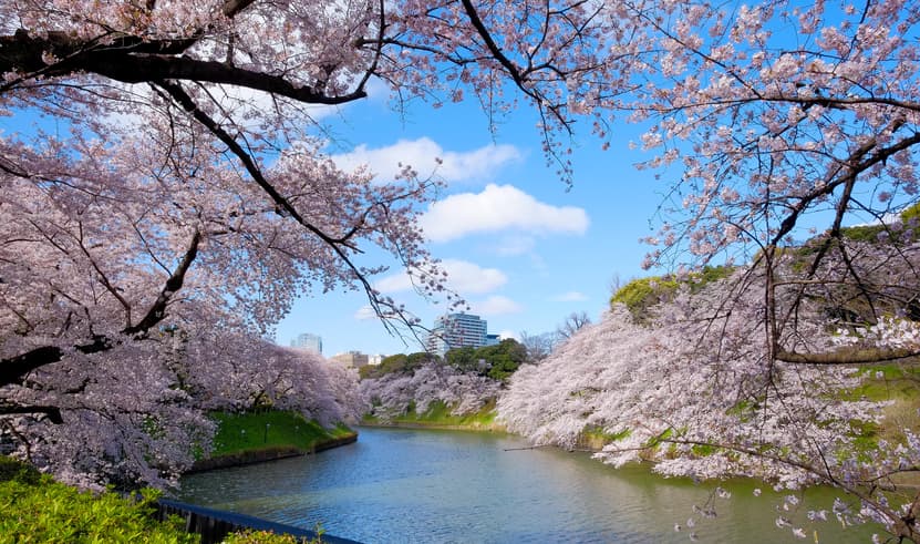 ทัวร์ญี่ปุ่น โตเกียว 5 วัน 3 คืน BT-NRT_S06_XJ สวนจิโดริกะฟุจิ โอชิโนะ อัคไค ช้อปปิ้งชินจูกุ บิน XJ (DMK)