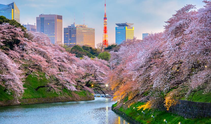 ทัวร์ญี่ปุ่น โตเกียว 6 วัน 4 คืน NRT_S04_XJ_XJ เทศกาลประดับไฟซากามิโกะ สวนจิโดริกะฟุจิ จุดชมวิวทะเลสาบยามานากาโกะ ย่านชินจูกุ บิน XJ (DMK)