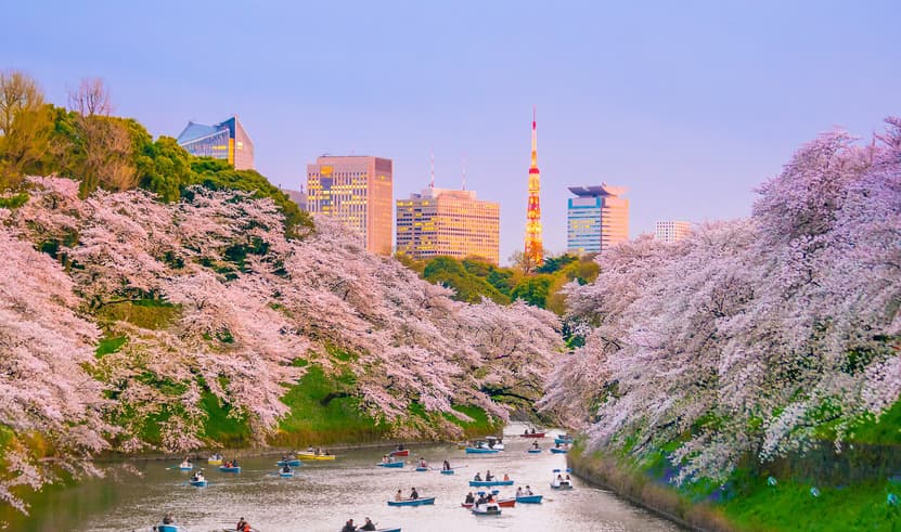 ทัวร์ญี่ปุ่น โตเกียว 5 วัน 3 คืน NRT_S05_XJ_XJ สวนจิโดริกะฟุจิ วัดอาซากุสะ ชินจูกุ บิน XJ (DMK) 