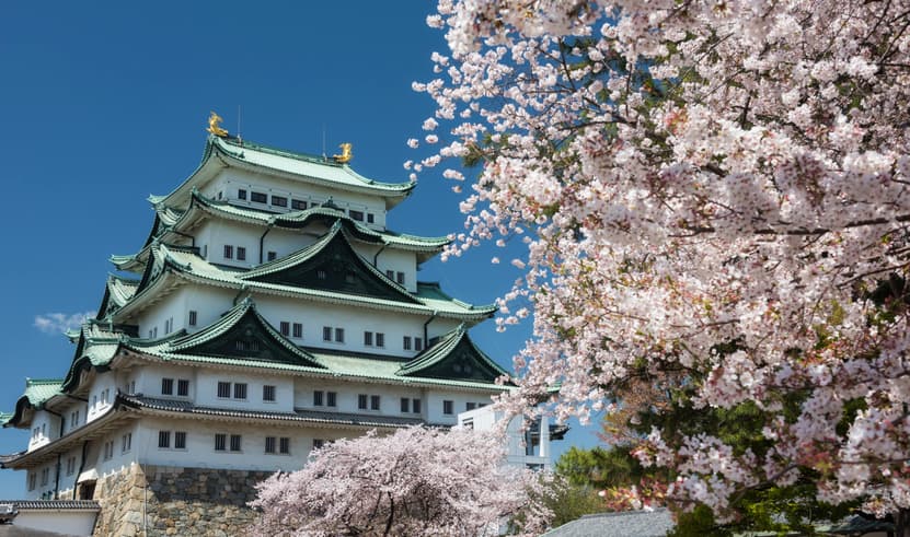 ทัวร์ญี่ปุ่น นาโกย่า 6 วัน 4 คืน GO2NGO-TG079 ทะเลสาบคาวากูจิโกะ Pinkmoss สะพานคัปปาบาชิ ศาลเจ้าฟูชิมิอินาริ บิน TG (BKK)