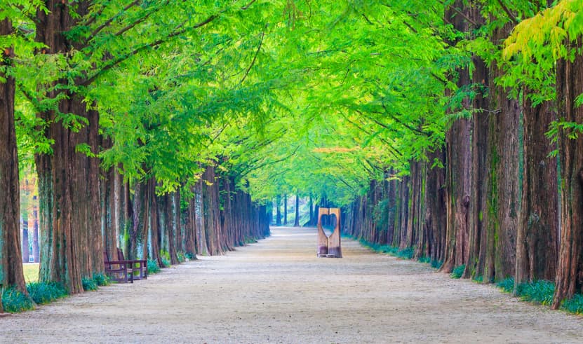 ทัวร์เกาหลี โซล 5 วัน 3 คืน GO3ICN-OZ011 สะพานโซยางกัง เกาะนามิ ป้อมฮวาซอง ถนนสายศิลปะคาเฟ่โกบงซาน บิน OZ (EZ)