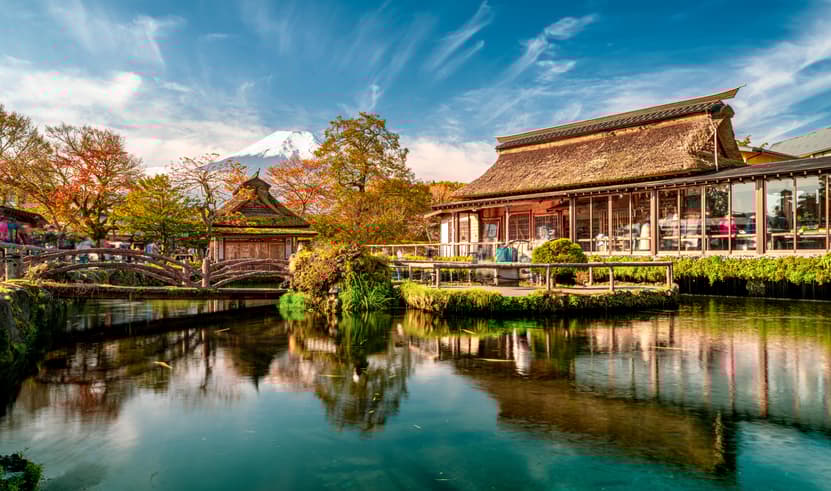 ทัวร์ญี่ปุ่น โตเกียว 5 วัน 3 คืน XJ340 สวนสมุนไพรทาบินิกกิ ฟูจิคาวากุจิโกะ วัดนาริตะซัน ย่านชินจูกุ บิน XJ (BKK)