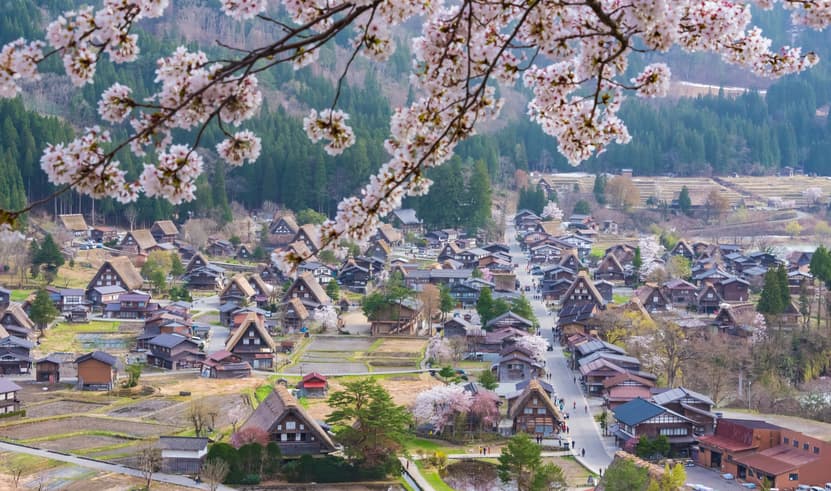 ทัวร์ญี่ปุ่น โอซาก้า เกียวโต 5 วัน 3 คืน XJ343 วัดกินคะคุจิ ศาลเจ้าฮิราโนะ ช้อปปิ้งชินไซบาชิ บิน XJ (BKK)