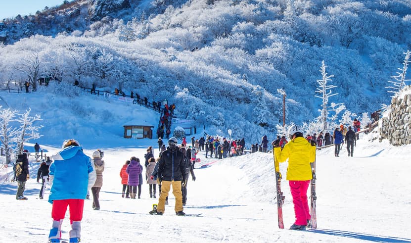 ทัวร์เกาหลี โซล 5 วัน 3 คืน PKR-ICN01-SL เทศกาลตกปลาน้ำแข็ง SKI RESORT พิพิธภัณฑ์สาหร่าย บิน SL (DMK)