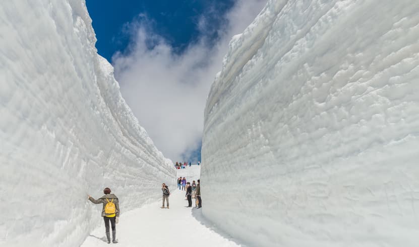 ทัวร์ญี่ปุ่น โตเกียว 6 วัน 4 คืน RJ-XJ115 JAPAN ALPS วัดเซ็นโซจิ สะพานกัปปะบาชิ เทศกาลฟูจิ ชิบะ ซากุระ บิน XJ (DMK)