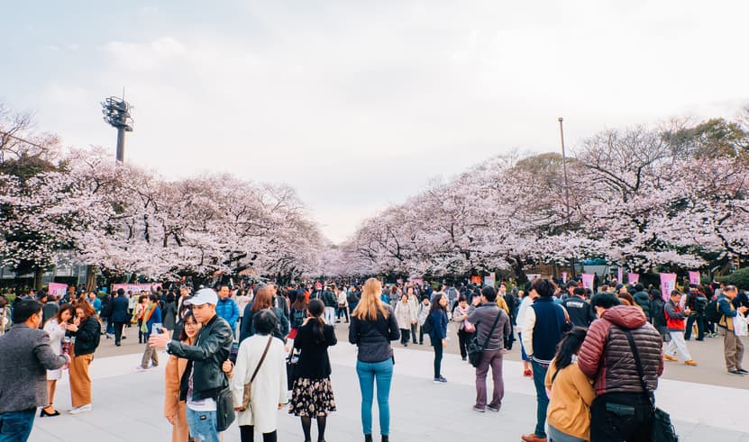 ทัวร์ญี่ปุ่น โตเกียว 5 วัน 3 คืน NRT61 สวนอูเอโนะ สวนจิโดริงะฟูจิ ชมซากุระริมทะเลสาปคาวากูจิโกะ เมกุโระ บิน XJ (DMK)