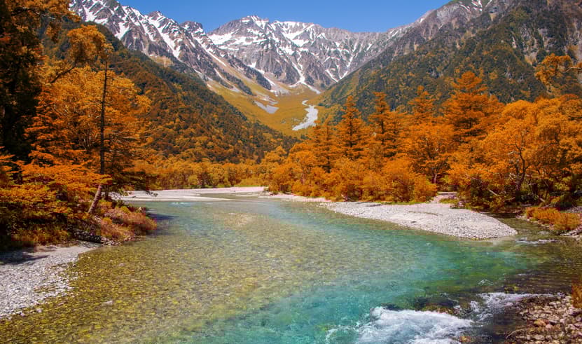 ทัวร์ญี่ปุ่น โตเกียว ทาคายาม่า 7 วัน 4 คืน JPL-NGO-09 เทศกาลทุ่งดอกไม้ ฟูจิชิบะซากุระ หมู่บ้านโอชิโนะฮัคไค คามิโคจิ บิน TG (BKK)