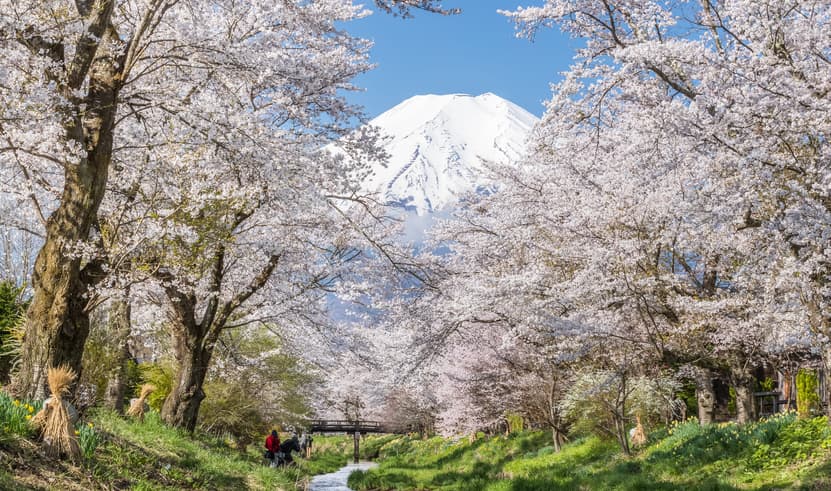 ทัวร์ญี่ปุ่น โตเกียว BT-NRT_S09_XJ ทะเลสาบอะชิโนะโกะ หุบเขาโอวาคุดานิ หมู่บ้านน้ำใสโอชิโนะฮัคไค ชินจูกุ บิน XJ (DMK)