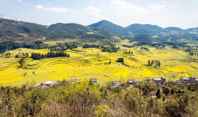 ทัวร์จีน หนานหนิง 6 วัน 5คืน 2UNNG-GX005 สวนดอกซากุระผิงปา หมู่บ้านชนเผ่าแม้วซีเจียง น้ำตกเต๋อเทียน บิน GX (BKK)