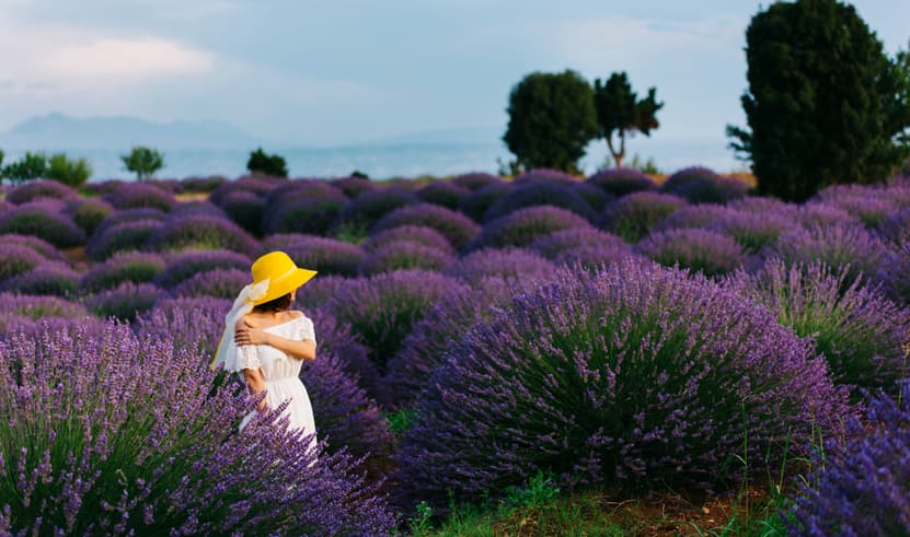 ทัวร์ตุรกี 9 วัน 7 คืน ZGIST-2608TK สุสานอตาเติร์ก ทะเลสาบเกลือ ทุ่งดอกลาเวนเดอร์ ปราสาทปุยฝ้าย บิน TK (BKK)