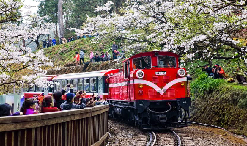 ทัวร์ไต้หวัน ไทจง ไทเป 5 วัน 4 คืน BT-TPE93_SL SUN MOON LAKE วัดเหวินหวู่ เขาอุทยานอาลีซาน รถไฟโบราณชมอุทยาน บิน SL (DMK)