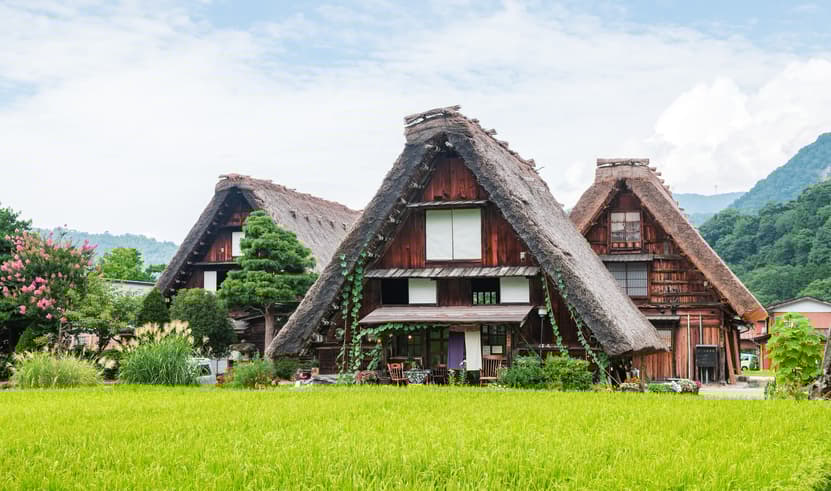 ทัวร์ญี่ปุ่น โอซาก้า ทาคายาม่า 7 วัน 5 คืน JPTG01 เทศกาลฟูจิชิบะซากุระ วัดอาซากุสะ ย่านชินไซบาชิ บิน TG (BKK)