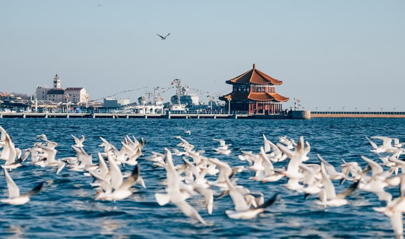 ัทัวร์จีน ชืงเต่้า 6 วัน 4 คืน BT-TAO01_SC จุดชมวิว Signal Hill Park วัดจ้านซาน ถนนจงซาน สะพานจ้านเฉียว บิน SC (BKK)