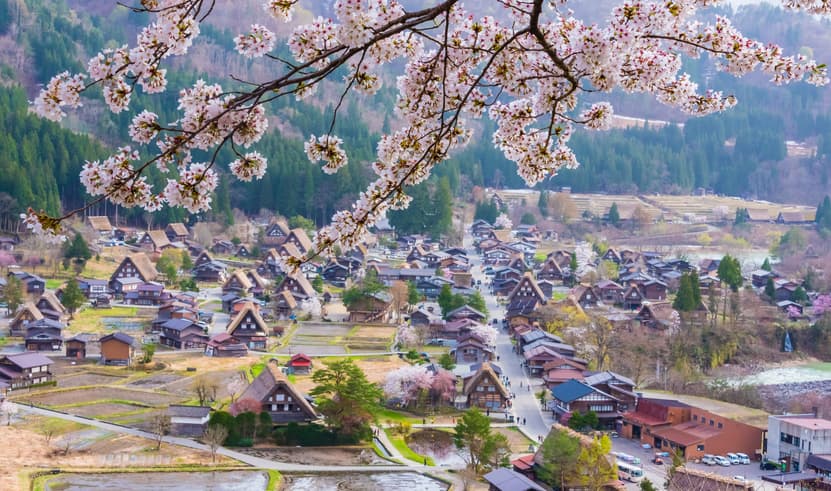 ทัวร์ญี่ปุ่น นาโกย่า 6 วัน 4 คืน BT-NGO_S01_XJ แม่น้ำยามาซากิ ศาลเจ้าโอสึ นาบานาโนะ ซาโตะ ชิราคาวาโกะ (ซากุระ) บิน XJ (DMK)