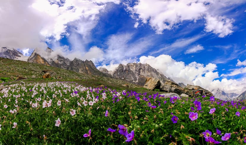 ทัวร์อินเดีย 6 วัน 4 คืน GO1DEL-TG015 สวนโมกุล สวนทิวลิป BEHTAB VALLEY โซนามาร์ค บิน TG (BKK)