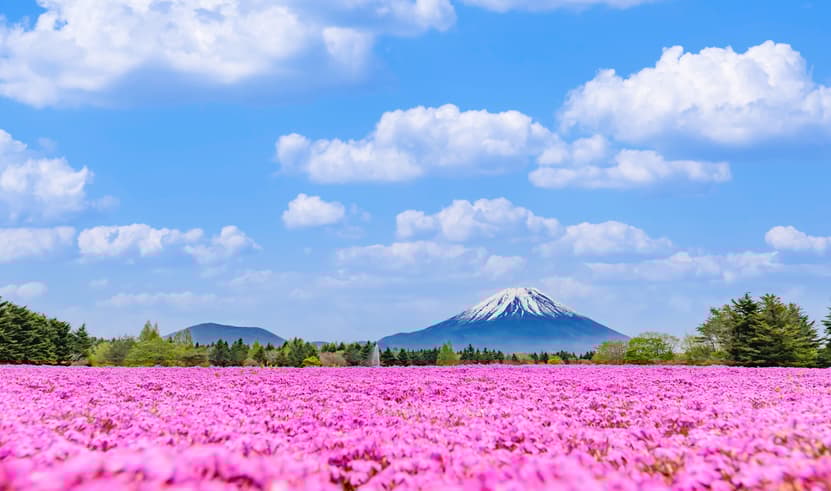 ทัวร์ญี่ปุ่น โอซาก้า 6 วัน 4 คืน VN012 หมู่บ้านมรดกโลกชิราคาวาโกะ ถนนซันมาจิซูจิ สะพานนาคะบาชิ วัดคินคะคุจิ บิน VN (BKK)