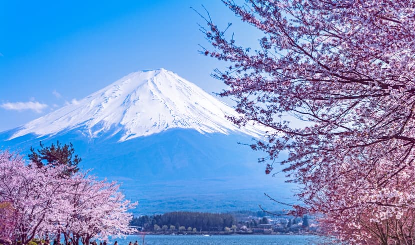 ทัวร์ญี่่ปุ่น โเตเกียว 6 วัน 4 คืน ZGNRT-2610VZ สวนฮิตาชิ ซีไซด์ ปาร์ค พระใหญ่อุชิคุ ไดบุตสึ Fuji-Kawaguchiko Sakura Festival บิน VZ (BKK)