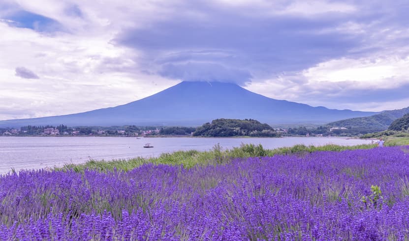 ทัวร์ญี่ปุ่น โตเกียว 6 วัน 3 คืน ZGHND-2624NH วัดอาซากุสะ คาวาโกเอะ ถนนคุระซึคุริ หอนาฬิกาโทคิโนะ คาเนะ บิน NH (BKK)