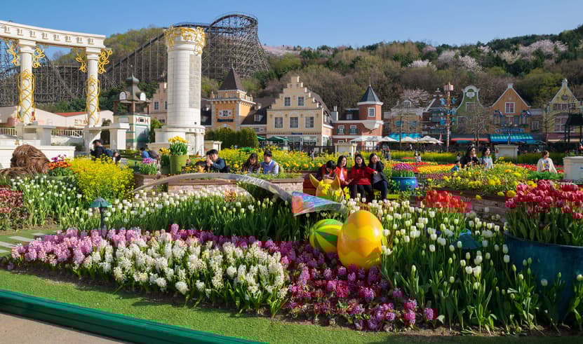 ทัวร์เกาหลี โซล 5 วัน 3 คิน WEKR-SEORAKCB2026 อุทยานแห่งชาติซอรัคซาน วัดชินฮึงซา เอเวอร์แลนด์ธีมปาร์ค บิน BX (BKK) 