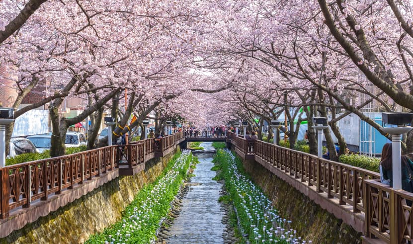 ทัวร์เกาหลี ปูซาน 5 วัน 3 คืน WEKR-BBV2026 ถ้ำไวน์แห่งกิมแฮ หมู่บ้านวัฒนธรรมฮวินนยออุล เทศกาลชมดอกพ็อดกดจินแฮกุนฮังเจ อุทยานรถไฟสีครามแห่งแฮอุนแด บิน BX (BKK)