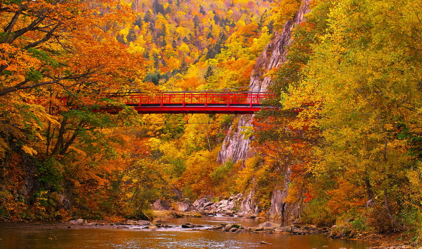 ทัวร์ญี่ปุ่น ฮอกไกโด 6 วัน 4 คืน GO2CTS-VZ004 สะพานโจซังเคฟุทามิ สวนสัตว์อาซาฮิยามะ หมู่บ้านราเมงอาซาฮิคาวะ บลูพอนด์ บิน VZ (BKK)