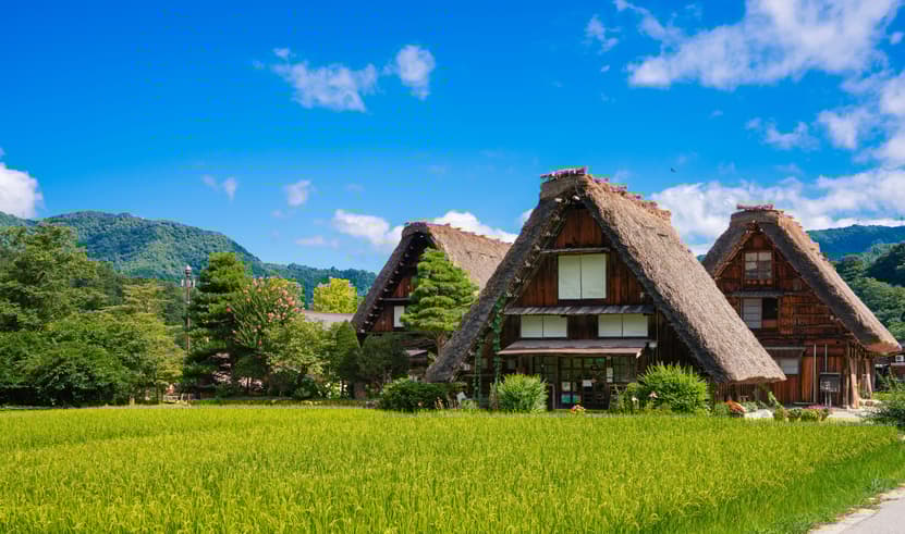 ทัวร์ญี่ปุ่น โอซาก้า ทาคายาม่า 6 วัน 4 คืน กำแพงหิมะ หมู่บ้านชิราคาวาโกะ สะพานนากะบาชิ ศาลเจ้าชิราฮิเงะ บิน TG (BKK)