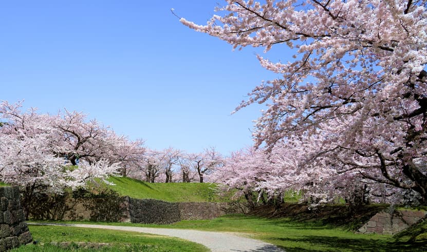 ทัวร์ญี่ปุ่น ฮอกไกโด 5 วัน 3 คืน ZGCTS-2609VZ สวนสาธารณะโกเรียวคาคุ โกดังอิฐแดงริมน้ำ เนินฮาจิมันซากะ (ชมซากุระ) บิน VZ (BKK)