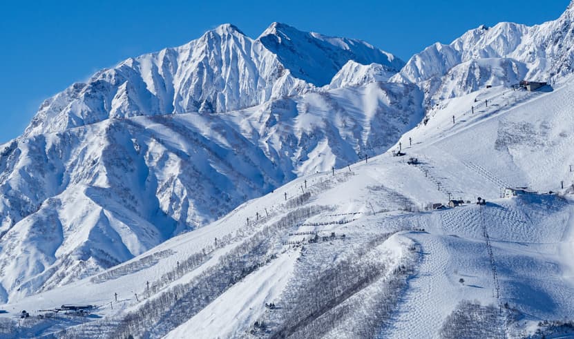 ทัวร์ญี่ปุน โตเกียว 7 วัน 4 คืน GO2NGO-TG074 เมืองเก่าทาคายาม่า สะพานนากะบาชิ หมู่บ้านชิราคาวาโกะ (ผ่อน 0%) บิน TG (BKK)