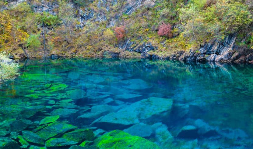 ทัวร์จีน เฉิงตู 4 วัน 3 คืน TFUEU0726 ภูเขาสี่ดรุณี แพนด้ายักษ์ปีนตึก IFS วัดต้าฉือ บิน EU (BKK)