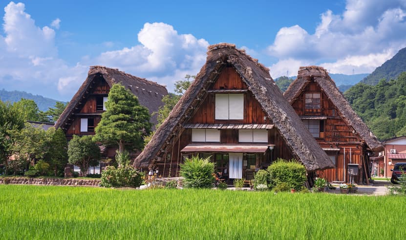 ทัวร์ญี่ปุ่น โตเกียว โอซาก้า 6 วัน 4 คืน JTG292 วัดโทไดจิ Hakuba Iwatak Mountain Resort Gondoa lift บิน TG (BKK) 