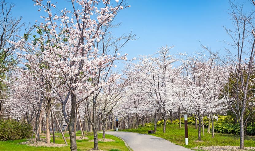 ทัวร์จีน เซี่ยงไฮ้ 5 วัน 4 คืน SHFMPVG26 ถนนหวยไห่ ถนนอู่คัง ซินเทียนตี้ หอไข่มุก บิน FM (BKK)