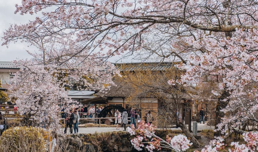 ทัวร์ญี่ปุ่น โตเกีัยว 5 วัน 3 คืน NRT72 หมู่บ้านน้ำใส โอชิโนะฮัคไค วัดมัตสึจิยามะ โชเด็น สวนสุมิดะ บิน VZ (BKK)