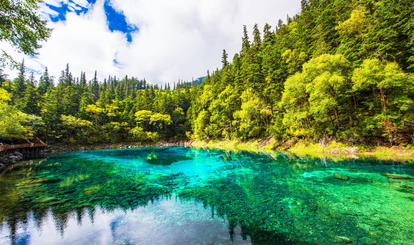 ทัวร์จีน เฉิงตู 6 วัน 5 คืน 2UTFU-MU001 อุทยานแห่งชาติจิ่วจ้ายโกว อุทยานหวงหลง ถนนไท่กู่หลี่ ถนนโบราณซอยกว้างซอยแคบ บิน MU (BKK)