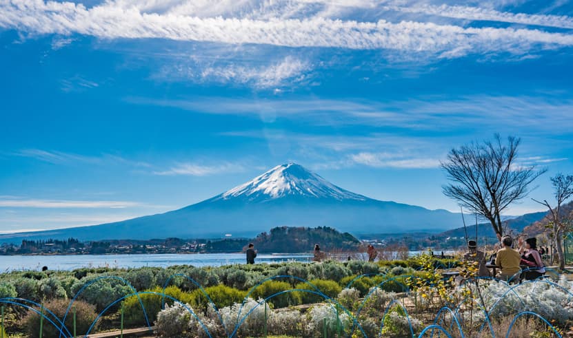 ทัวร์ญี่ปุ่น โตเกียว 5 วัน 3 คืน VZ013 ศาลเจ้าฮาโกเนะ สวนสาธารณะโออิชิ หุบเขาโอวาคุดานิ บิน VZ (BKK)